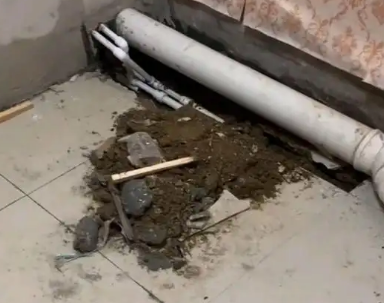 应城卫生间漏水检测哪家好