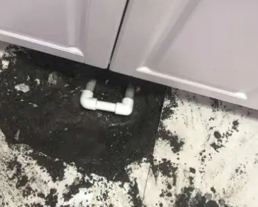 应城查漏水哪家好
